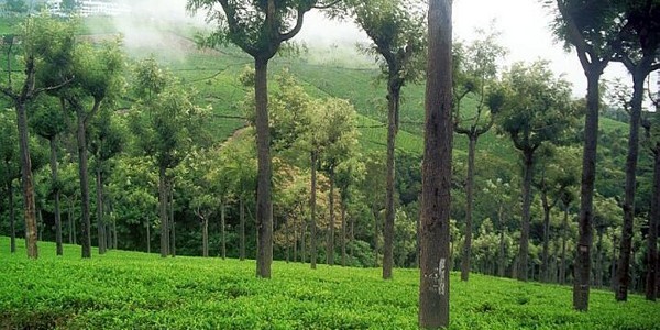 Top 10 Destinations in India to Buy a Holiday Home in the Mountains Top 10 Destinations in India to Buy a Holiday Home in the Mountains