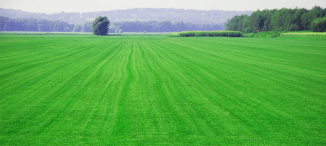 Tips on buying land to build your holiday home Tips on buying land to build your holiday home
