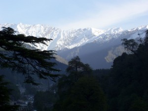 Holiday homes in Manali, Himachal Pradesh