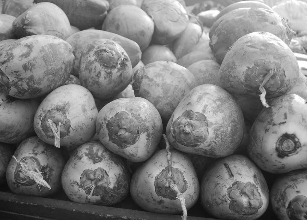 Tender coconuts to beat the summer heat