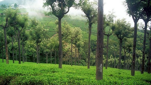 Ooty