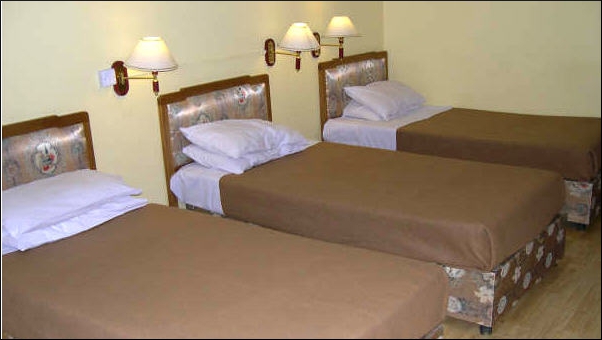Youth hostel room Youth hostel room