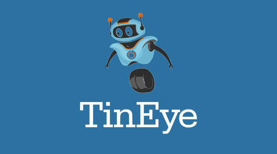 Reverse Image Search: Protecting Your Photos Using Tineye - Holiday Home  Times