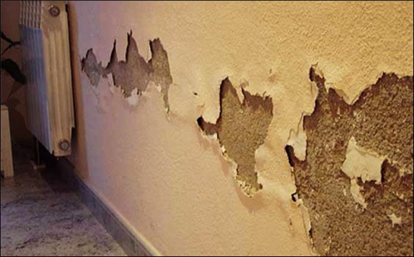 Moisture walls
