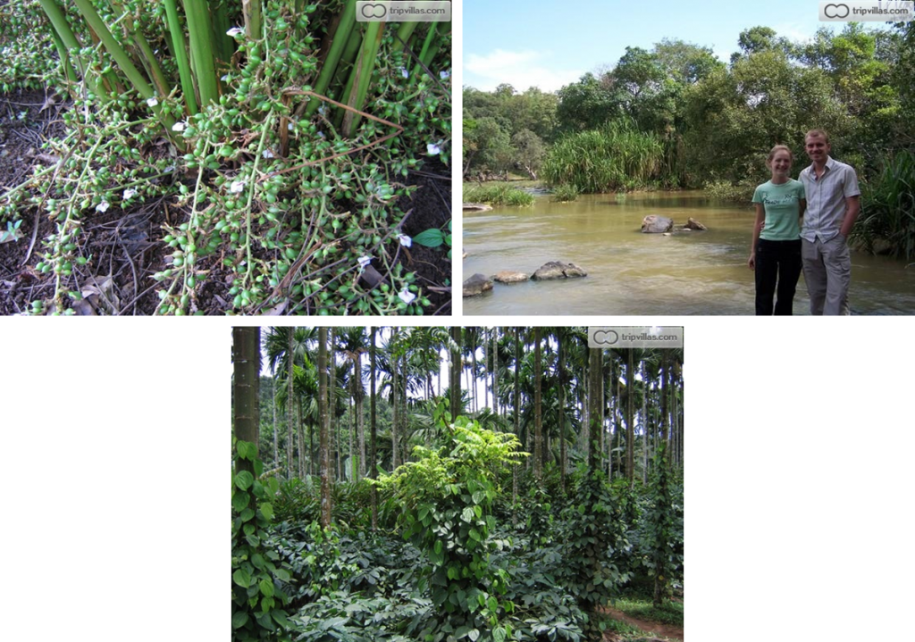 Organic farm, and the nearby river