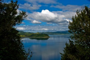 Bay of Plenty