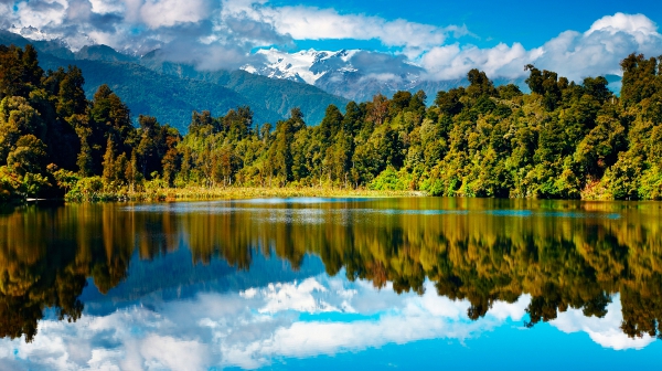 Lake Forest Mountains, New Zealand Lake Forest Mountains, New Zealand