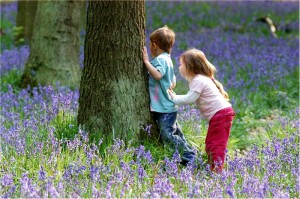 Children in Bluebell Wood Children in Bluebell Wood