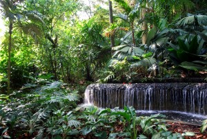 Landscaping Landscaping