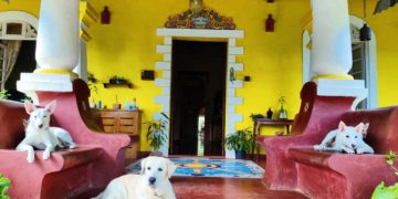 Balcao with pets